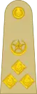 Brigadier(Urdu: بریگیڈیئر)(Pakistan Army)