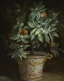 Jean-Baptiste Oudry, The Orange Tree, 1740