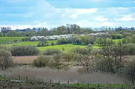 The Treene valley just west of Treßsee