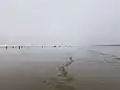 Low tide beach under overcast sky with tiny silhouettes of people in the distance