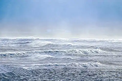 Sea spray containing marine microorganisms can be swept high into the atmosphere and may travel the globe as aeroplankton before falling back to earth.