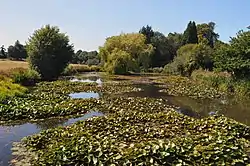 Weaver's Pond