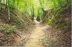 The old path of the "Natchez Trace", where, between 1799 and 1803, Samuel Mason and the Mason Gang committed highway robbery and murder, against helpless and unsuspecting travelers and were reported as crimes done by "Mason of the Woods"