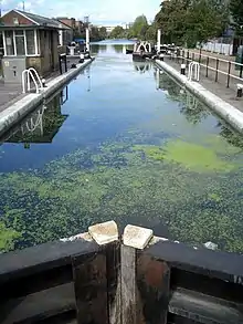 Old Ford Lock, Lee Navigation