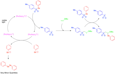 Addition of Tosylphenylselenide across an olefin