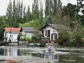 Banks of the Loiret at Olivet