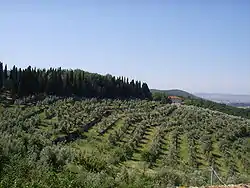 Hills in the territory of Calenzano