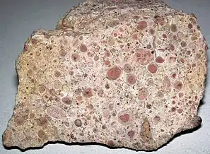 Oncolitic limestone formed from successive layers of calcium carbonate precipitated by cyanobacteria