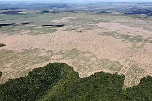 An overhead view of widespread deforestation in the Amazon rainforest, showing the border between jungle and areas recently clear-cut.