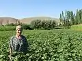 A woman working on an organic farm