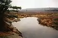 The upper Oswegatchie R. near High Rock, in December