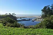 Kalaloch Creek