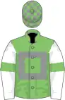 Light green, grey hollow box, white sleeves, light green armlets, light green and grey check cap