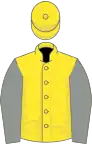 Yellow, grey sleeves