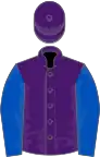 Purple, royal blue sleeves