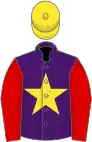 Purple, yellow star, red sleeves, yellow cap