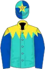 Turquoise, yellow shoulders, royal blue sleeves, turquoise and royal blue quartered cap, yellow star