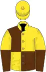 Yellow and brown (quartered), halved sleeves, yellow cap