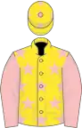 Yellow, pink stars and sleeves