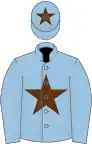 Light blue, brown star on body and cap, light blue sleeves, two brown chevrons