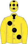 Yellow, black large spots, yellow sleeves, yellow cap, black spots