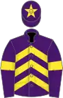 Purple, yellow chevrons, armlets and star on cap