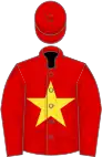 Red, yellow star, based on the Vietnamese flag.