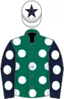 Green, white spots, royal blue sleeves, white spots, white cap, royal blue star