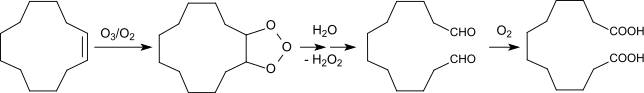 Ozonolysis of cyclododecene to dodecanedioic acid.