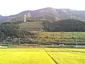 Rice paddies in Ōzu