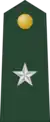 Brigadier General