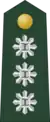 Colonel