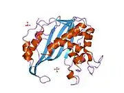 1hw4: STRUCTURE OF THYMIDYLATE SYNTHASE SUGGESTS ADVANTAGES OF CHEMOTHERAPY WITH NONCOMPETITIVE INHIBITORS