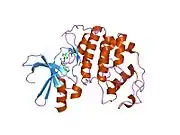 1ke6: CYCLIN-DEPENDENT KINASE 2 (CDK2) COMPLEXED WITH N-METHYL-{4-[2-(7-OXO-6,7-DIHYDRO-8H-[1,3]THIAZOLO[5,4-E]INDOL-8-YLIDENE)HYDRAZINO]PHENYL}METHANESULFONAMIDE