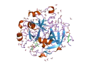 1t4u: Crystal Structure Analysis of a novel Oxyguanidine bound to Thrombin