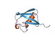 1ubi: SYNTHETIC STRUCTURAL AND BIOLOGICAL STUDIES OF THE UBIQUITIN SYSTEM. PART 1