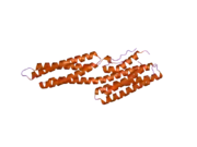 1ydi: Human Vinculin Head Domain (VH1, 1-258) in Complex with Human Alpha-Actinin's Vinculin-Binding Site (Residues 731-760)