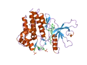 1yvj: Crystal structure of the Jak3 kinase domain in complex with a staurosporine analogue