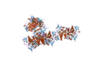 1zmd: Crystal Structure of Human dihydrolipoamide dehydrogenase complexed to NADH