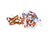 1zoy: Crystal Structure of Mitochondrial Respiratory Complex II from porcine heart at 2.4 Angstroms