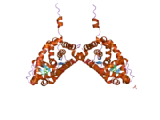 2ab2: Mineralocorticoid Receptor Double Mutant with Bound Spironolactone