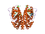 2b1z: Human estrogen receptor alpha ligand-binding domain in complex with 17methyl-17alpha-dihydroequilenin and a glucoc interacting protein 1 NR box II peptide