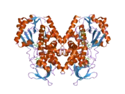 2bxr: HUMAN MONOAMINE OXIDASE A IN COMPLEX WITH CLORGYLINE, CRYSTAL FORM A