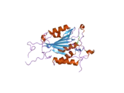 2c1e: CRYSTAL STRUCTURES OF CASPASE-3 IN COMPLEX WITH AZA-PEPTIDE MICHAEL ACCEPTOR INHIBITORS.