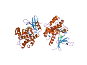 2clq: STRUCTURE OF MITOGEN-ACTIVATED PROTEIN KINASE KINASE KINASE 5