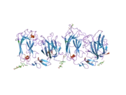 2e26: Crystal structure of two repeat fragment of reelin