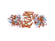 2fbw: Avian respiratory complex II with carboxin bound