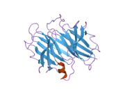 2g3z: Crystal structure of Transthyretin mutant I84A at low pH