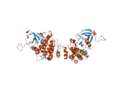 2gqg: X-ray Crystal Structure of Dasatinib (BMS-354825) Bound to Activated ABL Kinase Domain