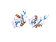 2h2r: Crystal structure of the human CD23 Lectin domain, apo form